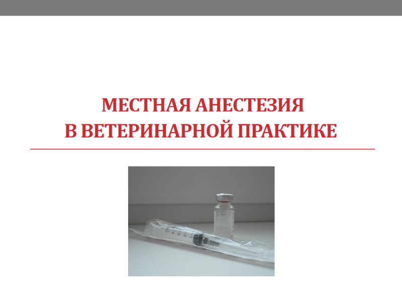 Местная анестезия в ветеринарной практике